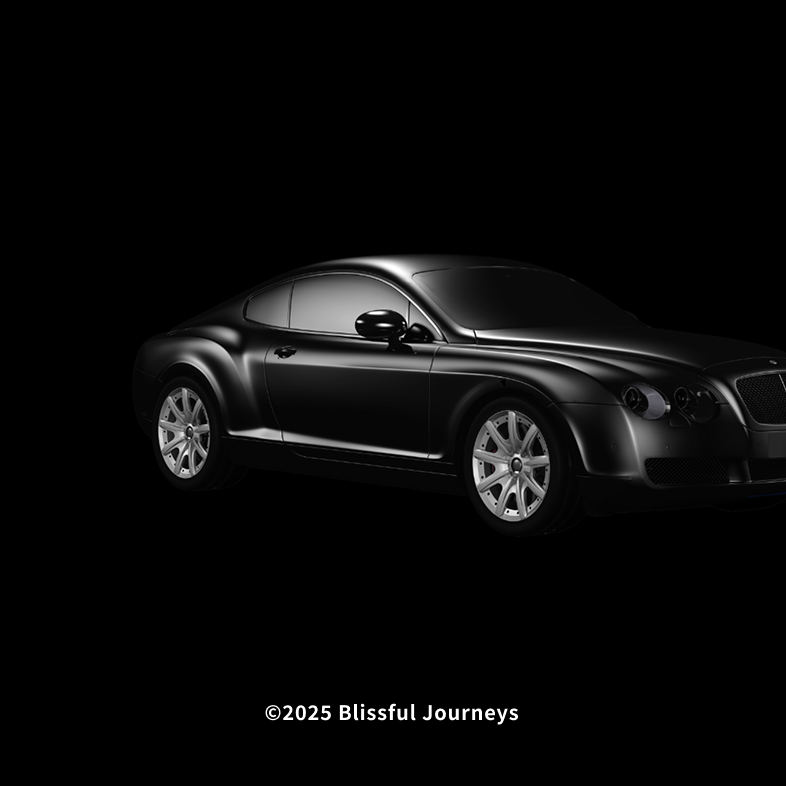 株式会社Blissful Journeys